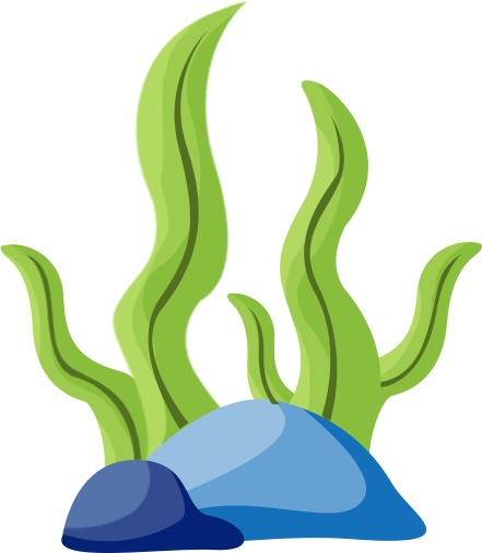 世界海洋日:开启从深海到极地的探秘之旅 世界海洋日:开启从深海到极地的探秘之旅