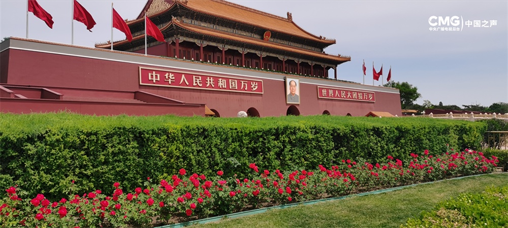 “感谢那个决定在北京环路上种月季的人”
