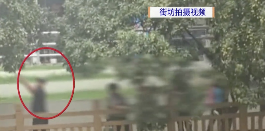 广州一河涌边荔枝树果实被采摘,提醒:不宜食用! 广州一河涌边荔枝树果实被采摘,提醒:不宜食用!