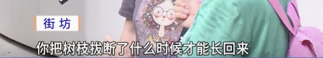 广州一河涌边荔枝树果实被采摘,提醒:不宜食用! 广州一河涌边荔枝树果实被采摘,提醒:不宜食用!