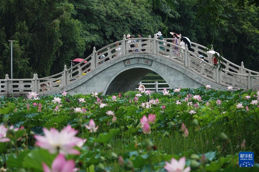 花“漾”夏日 花“漾”夏日