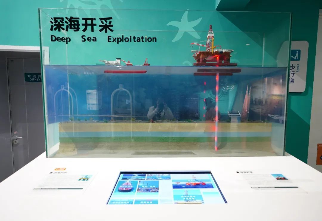 世界海洋日:开启从深海到极地的探秘之旅 世界海洋日:开启从深海到极地的探秘之旅