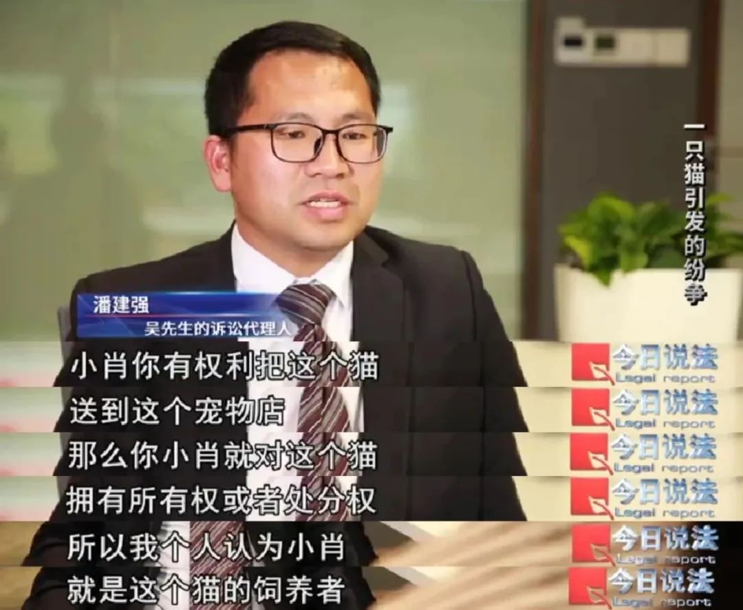 打球时踩流浪猫摔倒致十级伤残,投喂者被判赔从24万到4.8万 打球时踩流浪猫摔倒致十级伤残,投喂者被判赔从24万到4.8万