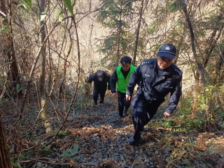 杭州首例!猎杀两只华南梅花鹿判刑又赔9.6万元 杭州首例!猎杀两只华南梅花鹿判刑又赔9.6万元