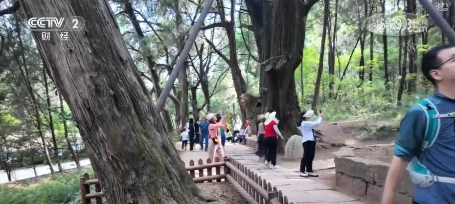 穿越古蜀道、雨中限定……焕新升级!夏日文旅亮点纷呈激活消费新引擎 穿越古蜀道、雨中限定……焕新升级!夏日文旅亮点纷呈激活消费新引擎