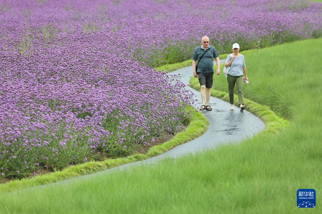 花“漾”夏日 花“漾”夏日