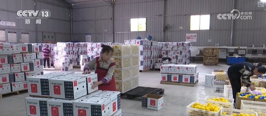 冷链燃动经济“热”力 “中央厨房+食材冷链配送”新业态、新模式加速生长 冷链燃动经济“热”力 “中央厨房+食材冷链配送”新业态、新模式加速生长