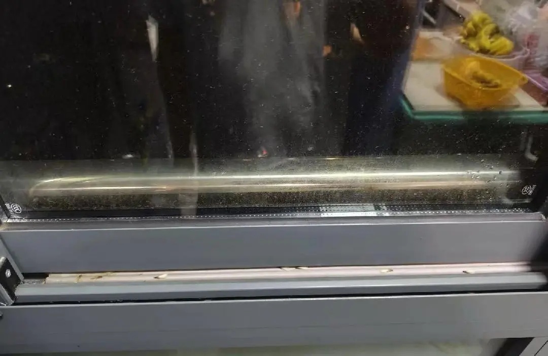上海市民直呼可怕：马路上到处都是，门窗紧闭也不管用！入梅后大爆发