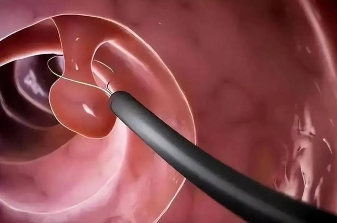 2025年5月“科学”流言榜（第135期）