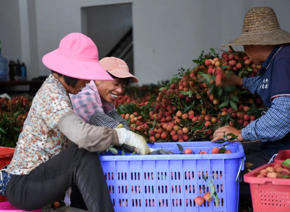 《长安的荔枝》热播,网友们晒出了爆火的看剧“搭子” 《长安的荔枝》热播,网友们晒出了爆火的看剧“搭子”