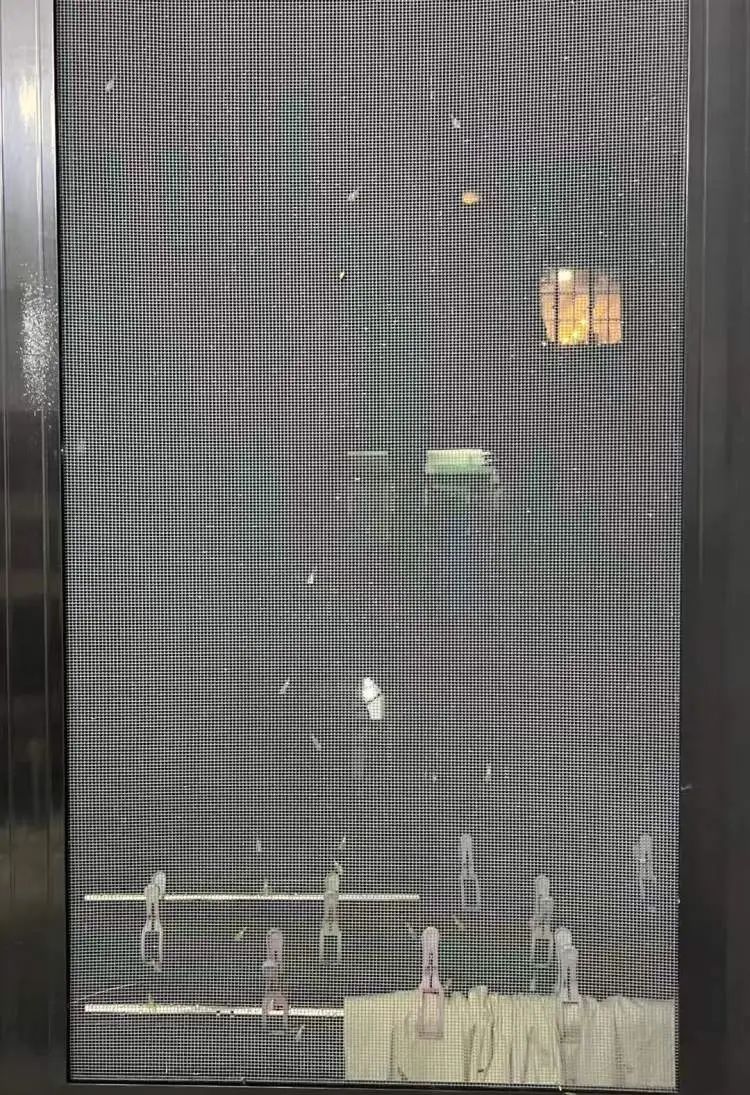 “整个家都被白蚁大军占领了!”市民惊呼:马路上到处都是,门窗紧闭也不管用! “整个家都被白蚁大军占领了!”市民惊呼:马路上到处都是,门窗紧闭也不管用!