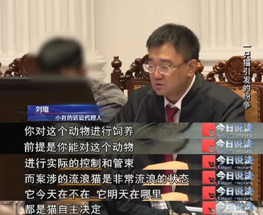 打球时踩流浪猫摔倒致十级伤残,投喂者被判赔从24万到4.8万 打球时踩流浪猫摔倒致十级伤残,投喂者被判赔从24万到4.8万