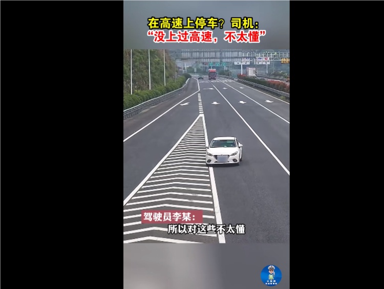 在高速上停车?司机:“没上过高速,不太懂” 在高速上停车?司机:“没上过高速,不太懂”