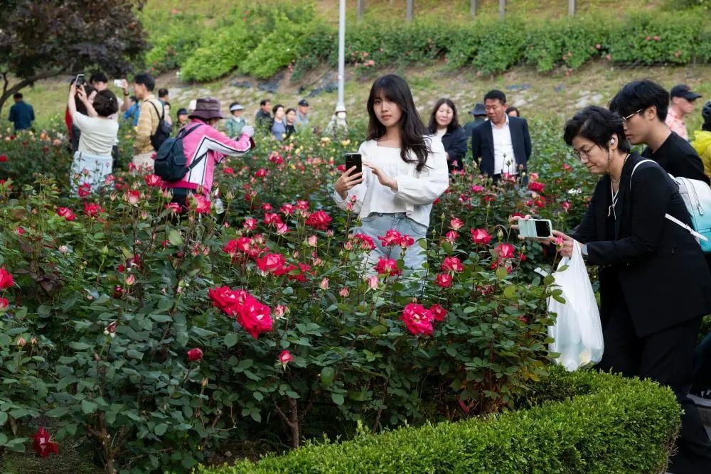 韩国首尔结婚登记和新生儿数量连续12个月增长 韩国首尔结婚登记和新生儿数量连续12个月增长
