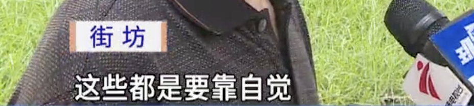 广州一河涌边荔枝树果实被采摘,提醒:不宜食用! 广州一河涌边荔枝树果实被采摘,提醒:不宜食用!