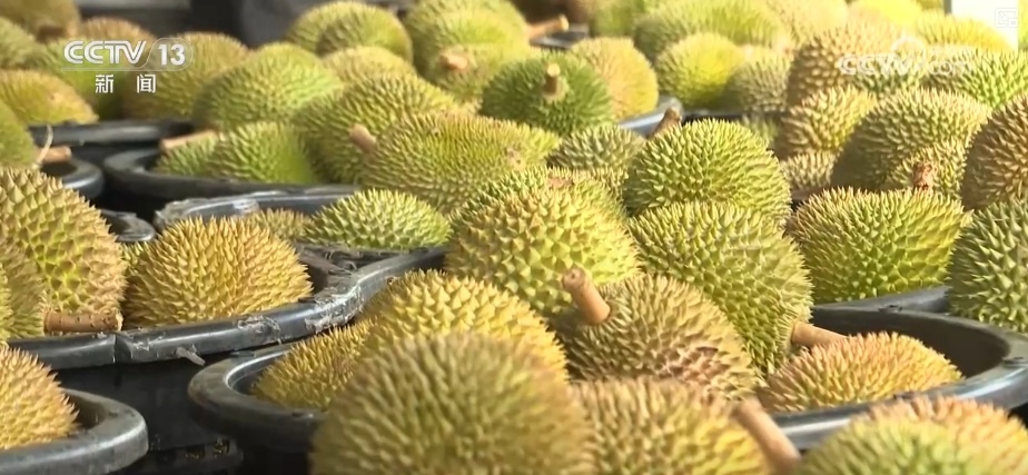 冷链燃动经济“热”力 “中央厨房+食材冷链配送”新业态、新模式加速生长 冷链燃动经济“热”力 “中央厨房+食材冷链配送”新业态、新模式加速生长