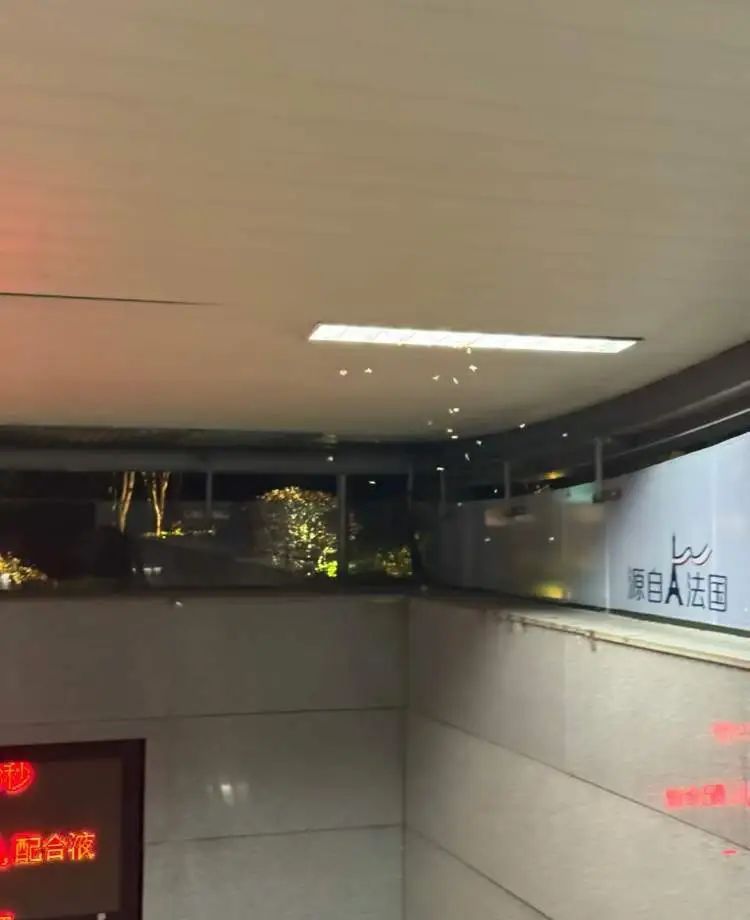 “整个家都被白蚁大军占领了!”市民惊呼:马路上到处都是,门窗紧闭也不管用! “整个家都被白蚁大军占领了!”市民惊呼:马路上到处都是,门窗紧闭也不管用!