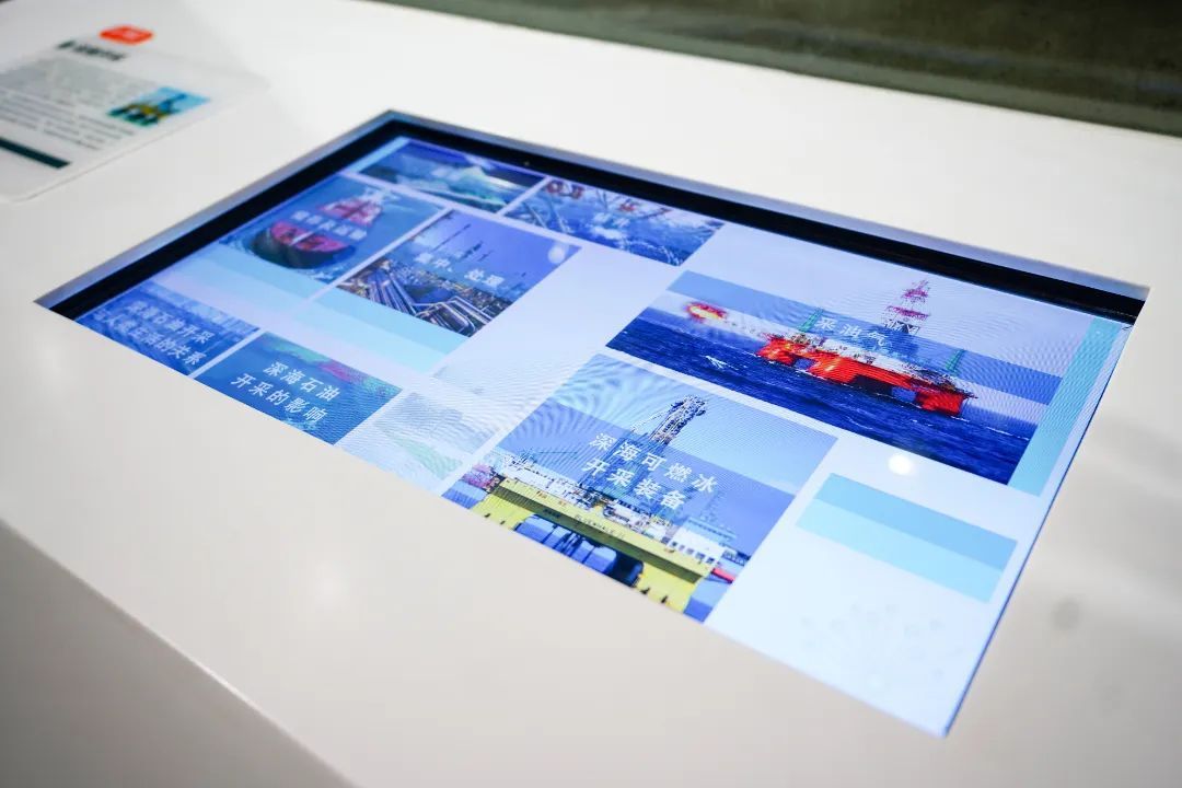 世界海洋日:开启从深海到极地的探秘之旅 世界海洋日:开启从深海到极地的探秘之旅