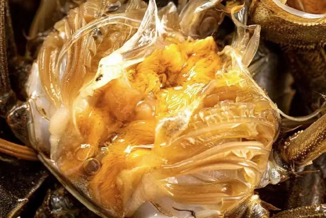 “六月黄”上市了!超小只的可按斤买 “六月黄”上市了!超小只的可按斤买