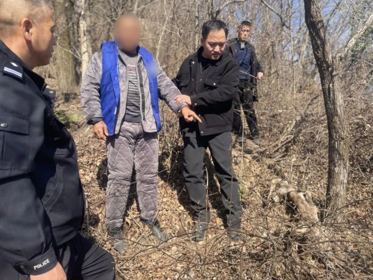 杭州首例!猎杀两只华南梅花鹿判刑又赔9.6万元 杭州首例!猎杀两只华南梅花鹿判刑又赔9.6万元