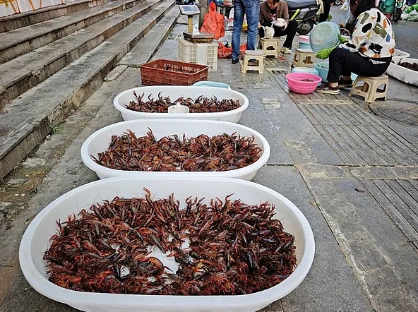 “夜宵顶流”价格大“跳水” “夜宵顶流”价格大“跳水”