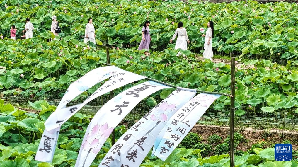 花“漾”夏日 花“漾”夏日