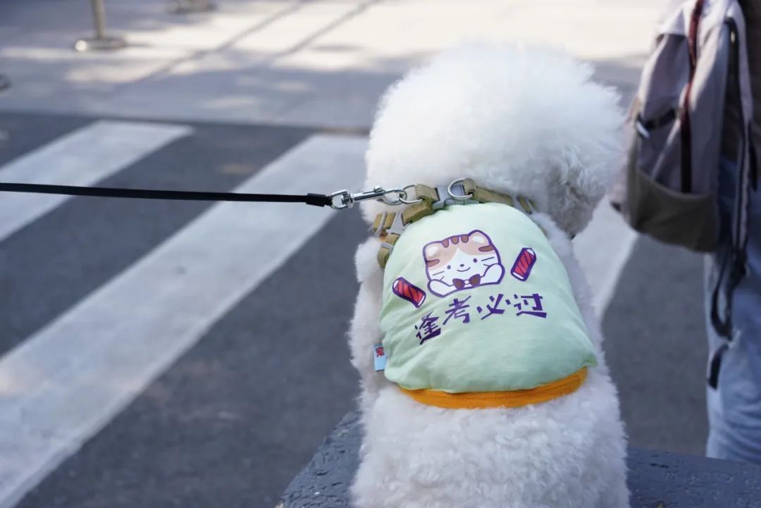 “不管你考得怎么样，全家人都很爱你……”