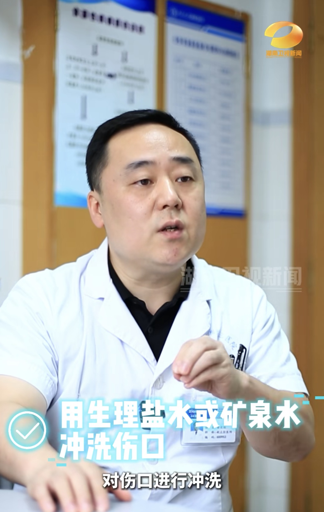 进入蛇类活动活跃期！被蛇咬伤怎么办？