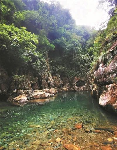 广东一地发禁入通告:未经批准擅入这些网红野景点,将严罚 广东一地发禁入通告:未经批准擅入这些网红野景点,将严罚