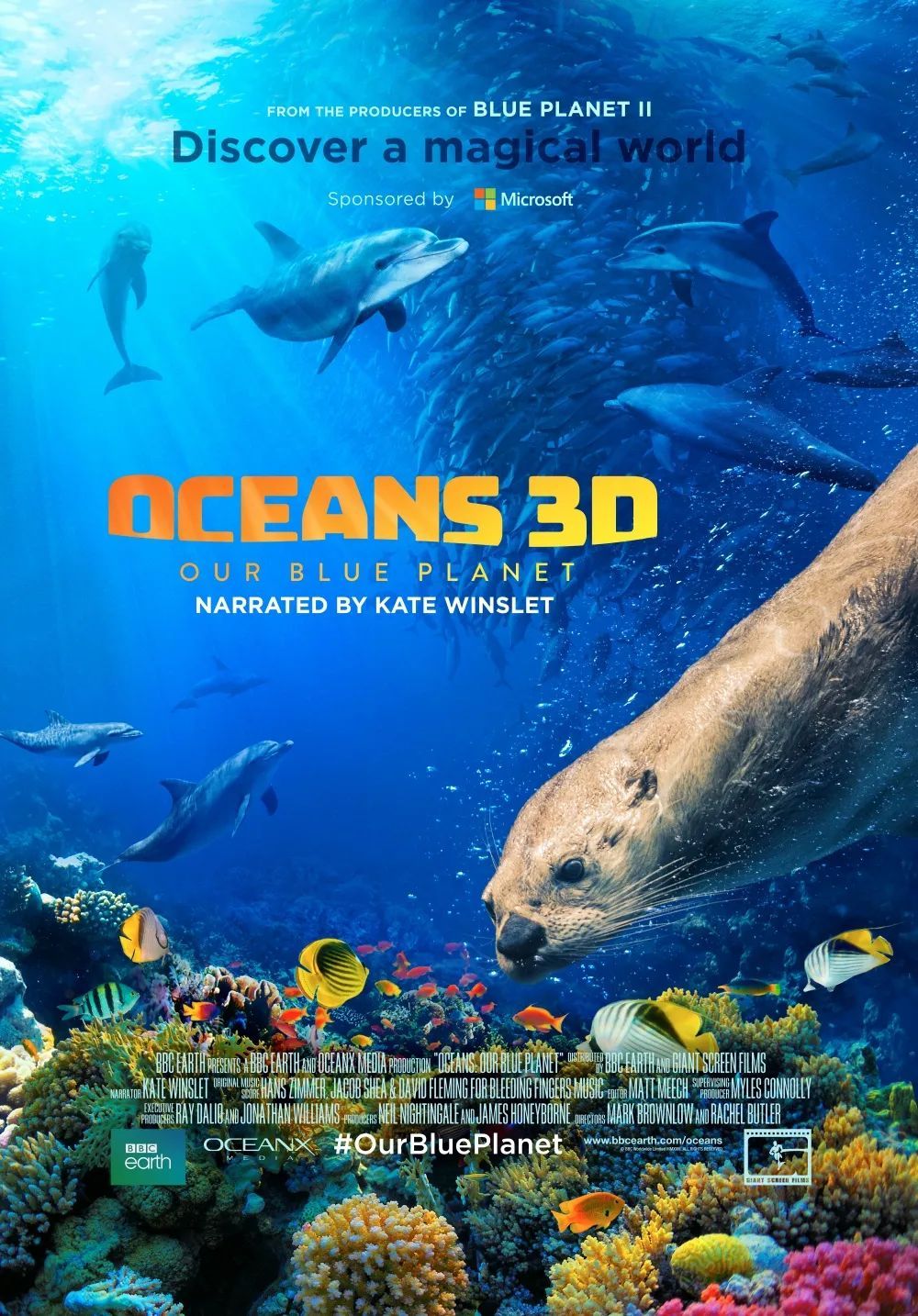 世界海洋日:开启从深海到极地的探秘之旅 世界海洋日:开启从深海到极地的探秘之旅