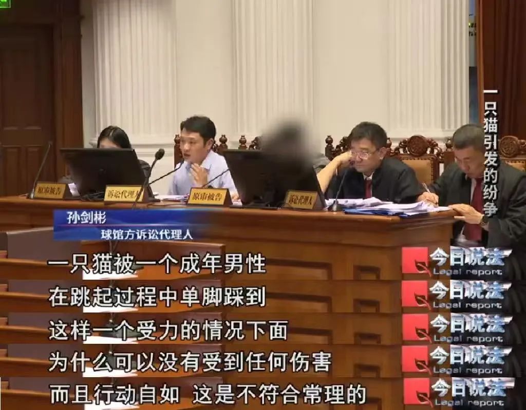 打球时踩流浪猫摔倒致十级伤残,投喂者被判赔从24万到4.8万 打球时踩流浪猫摔倒致十级伤残,投喂者被判赔从24万到4.8万