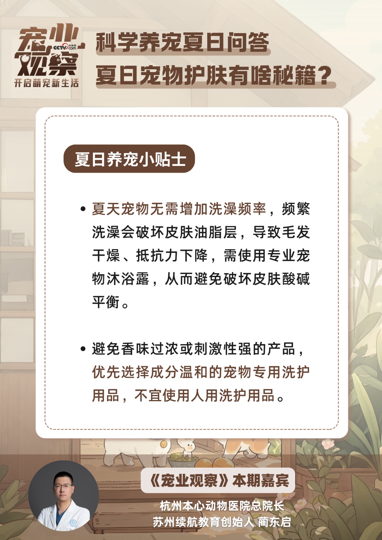 夏日宠物护肤秘籍：拒绝皮肤小烦恼，做清爽毛孩子！