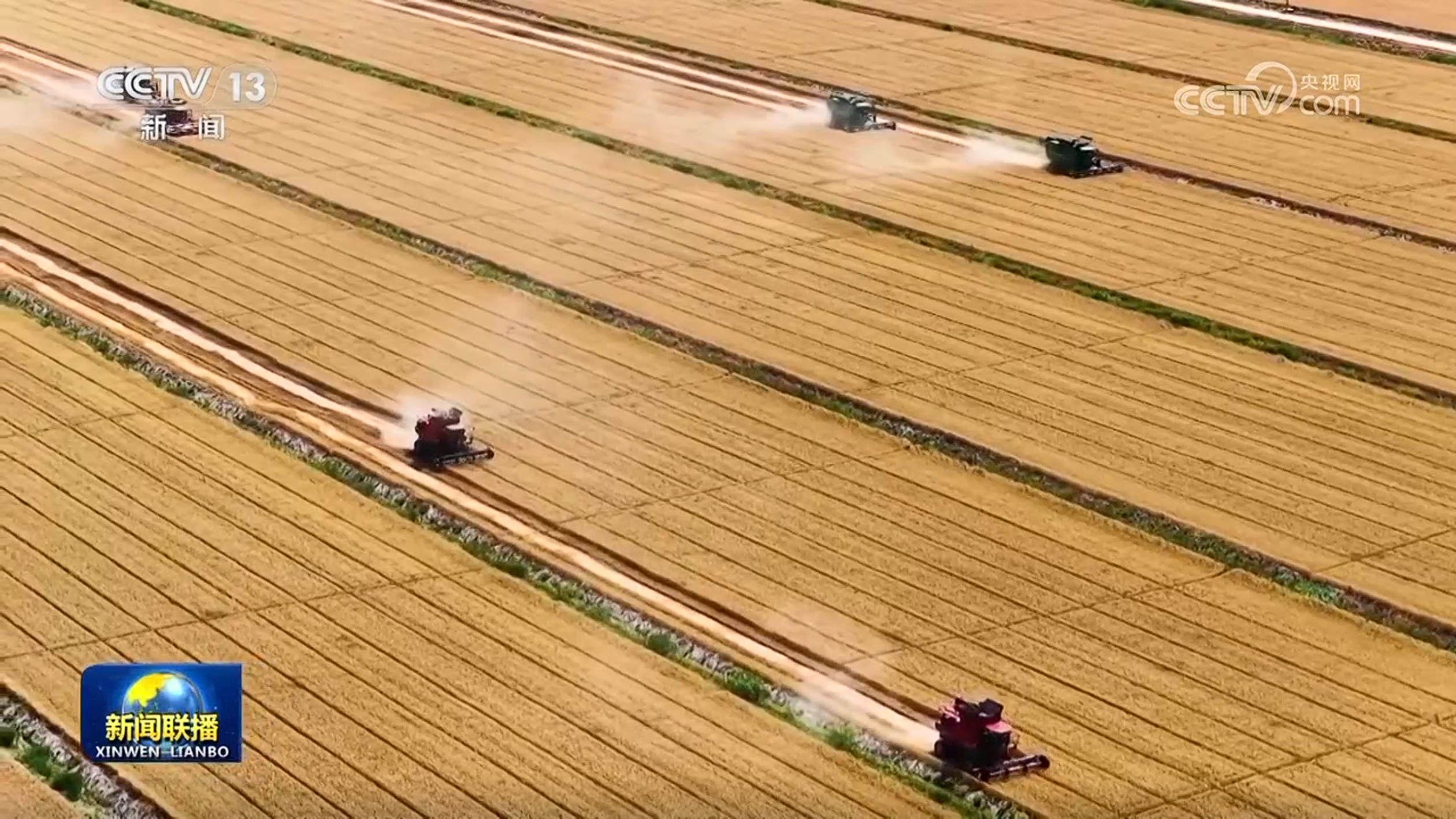全国夏粮小麦进入收获高峰期 全国夏粮小麦进入收获高峰期