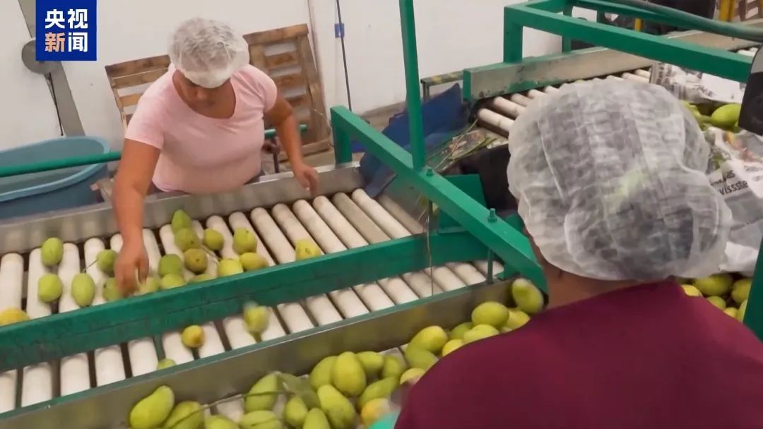 特朗普:不想发生内战,我们别无选择 特朗普:不想发生内战,我们别无选择