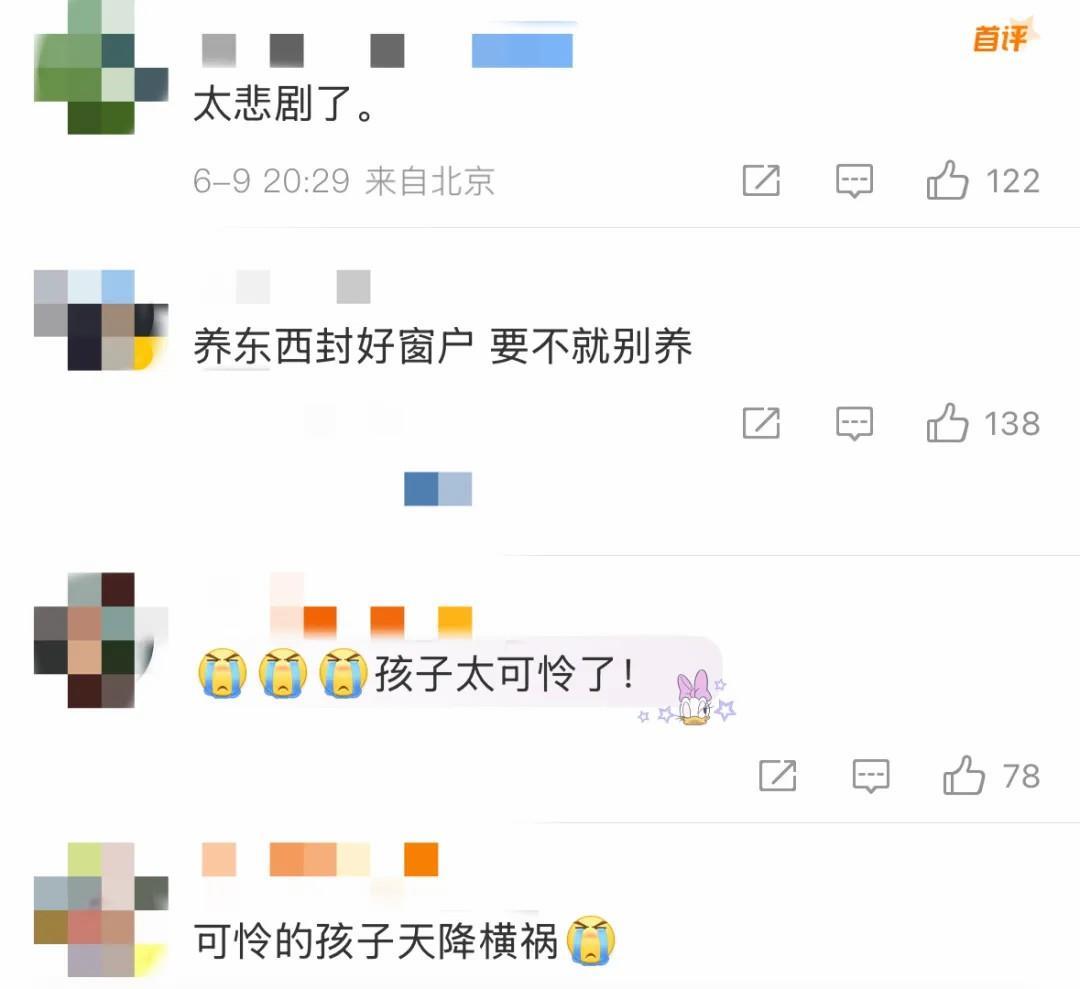 天降乌龟 砸中幼童致死 关于高空坠物这些知识要知道 天降乌龟 砸中幼童致死 关于高空坠物这些知识要知道