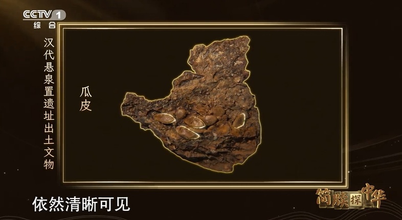 汉遗址发现2000多年前瓜皮,是我国目前发现时代最早“瓜皮”实物→ 汉遗址发现2000多年前瓜皮,是我国目前发现时代最早“瓜皮”实物→