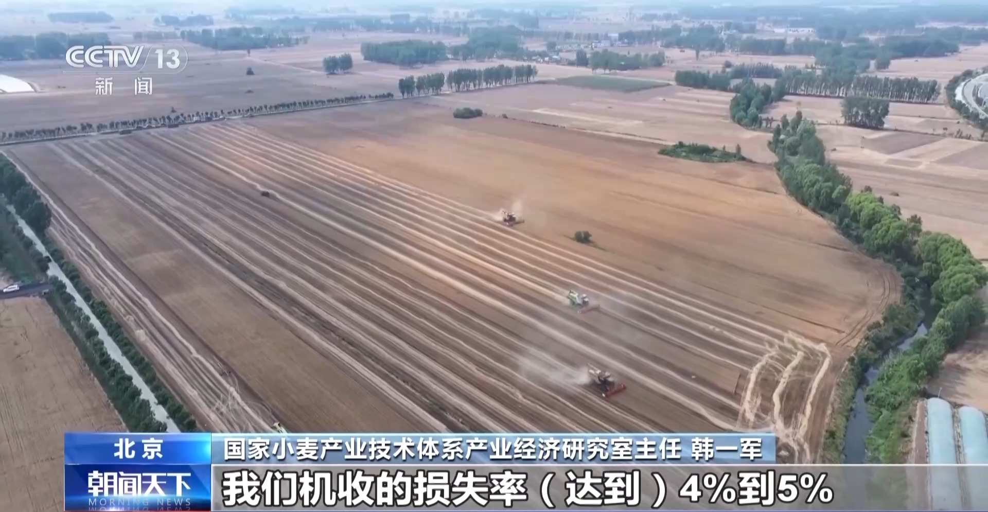 夏粮收购进行时 今年新麦有点香 价格稳中有升有保障 夏粮收购进行时 今年新麦有点香 价格稳中有升有保障