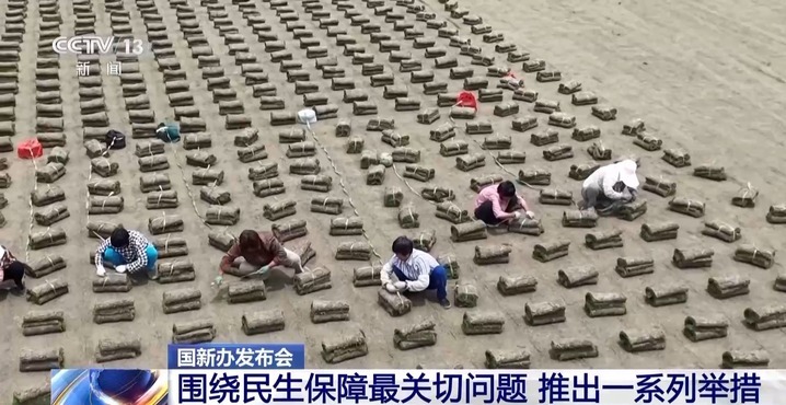 聚焦就业、教育等民生保障最关键问题 各部门推出一系列举措