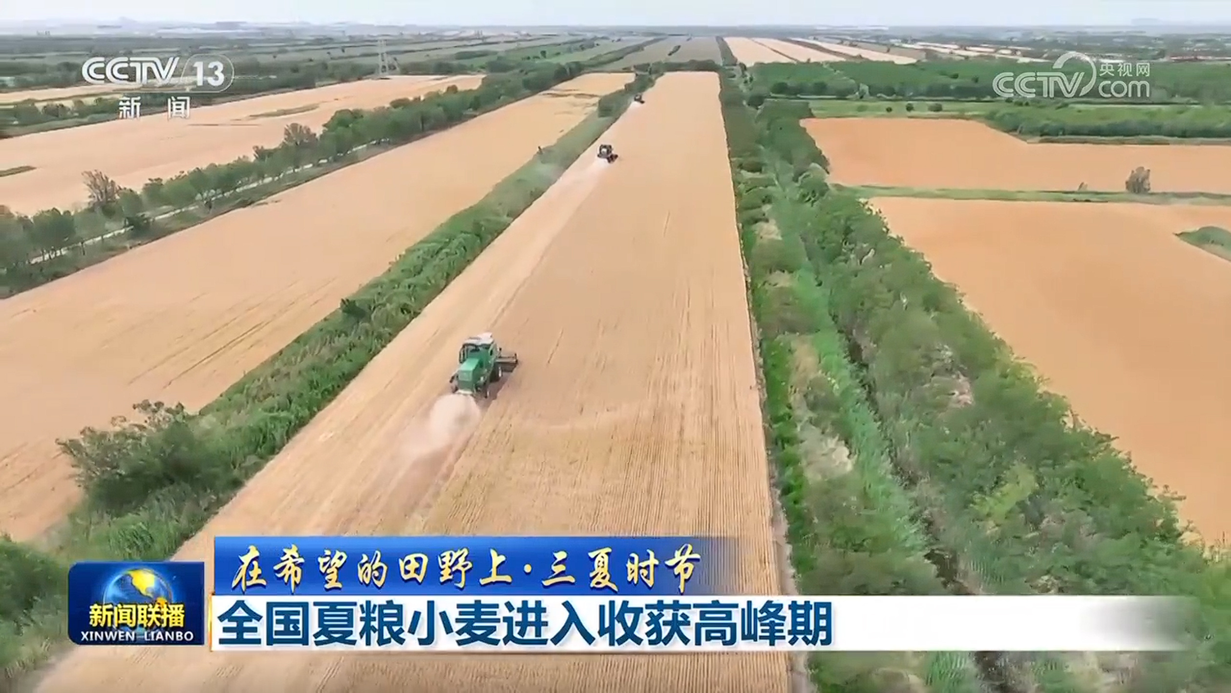 全国夏粮小麦进入收获高峰期 全国夏粮小麦进入收获高峰期