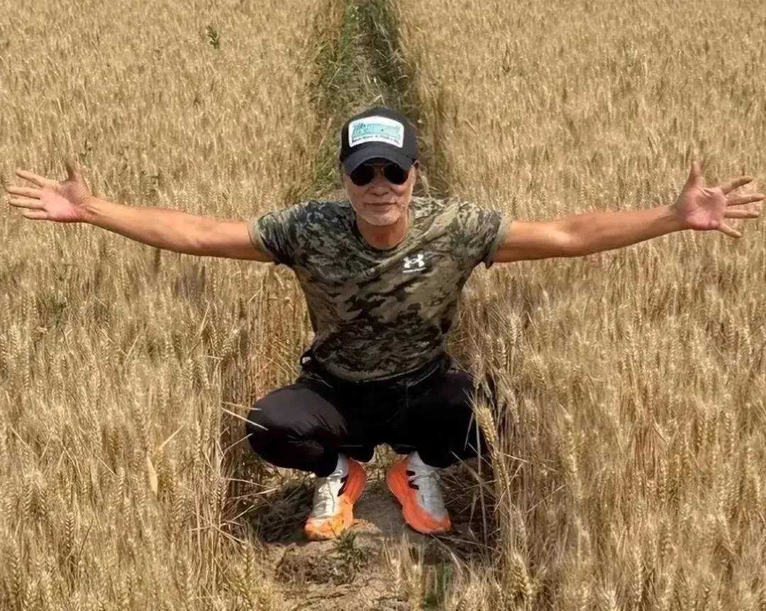 70岁任达华回山东老家“收麦”:只有站在这里才明白什么是根 70岁任达华回山东老家“收麦”:只有站在这里才明白什么是根