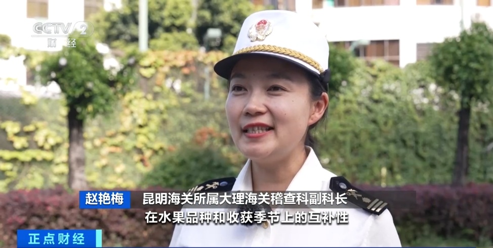 飙升超240%!创历史新高! 飙升超240%!创历史新高!