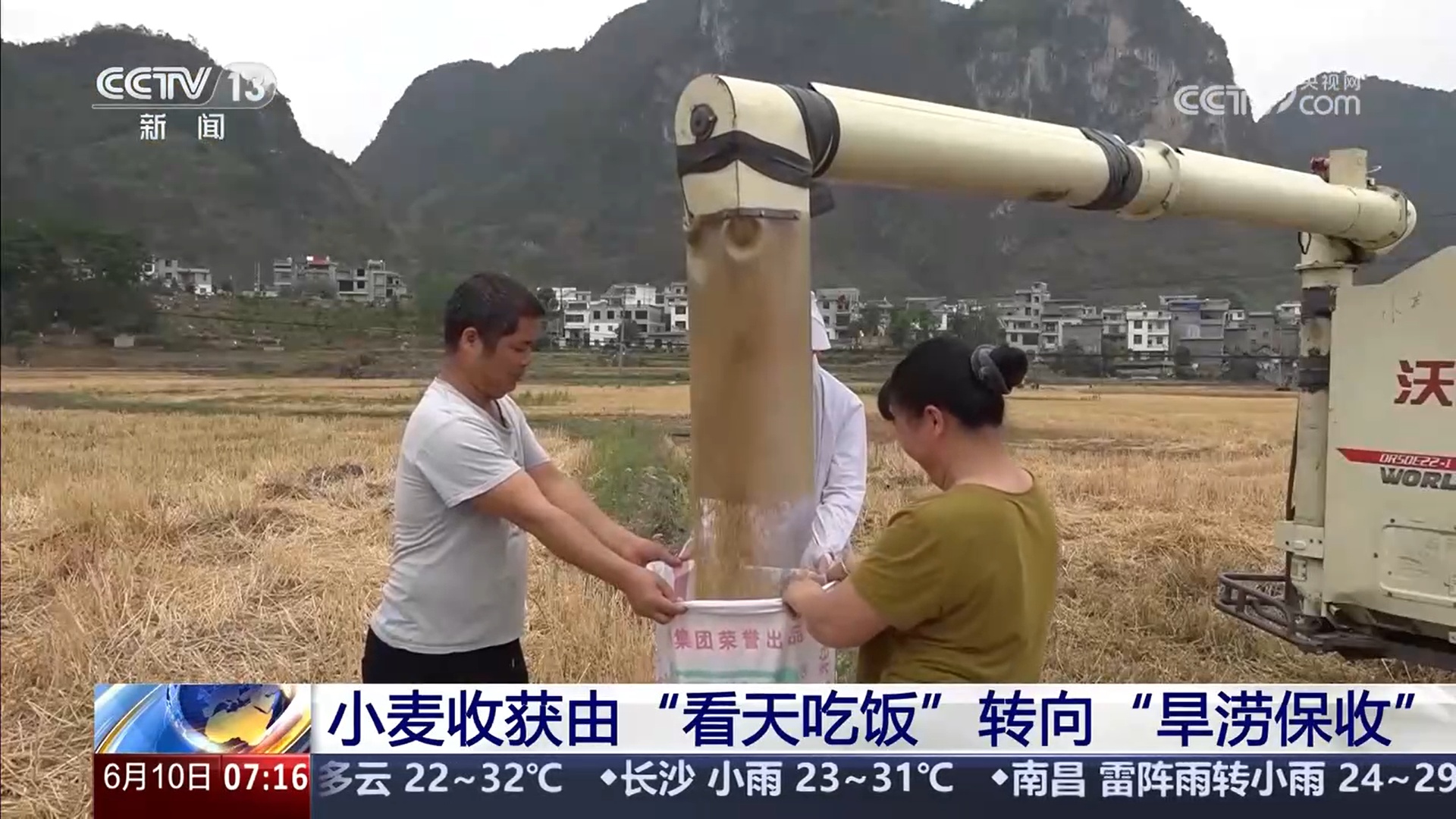 由“看天吃饭”转向“旱涝保收” 小麦丰收新麦上市 价格有望稳中有升 由“看天吃饭”转向“旱涝保收” 小麦丰收新麦上市 价格有望稳中有升