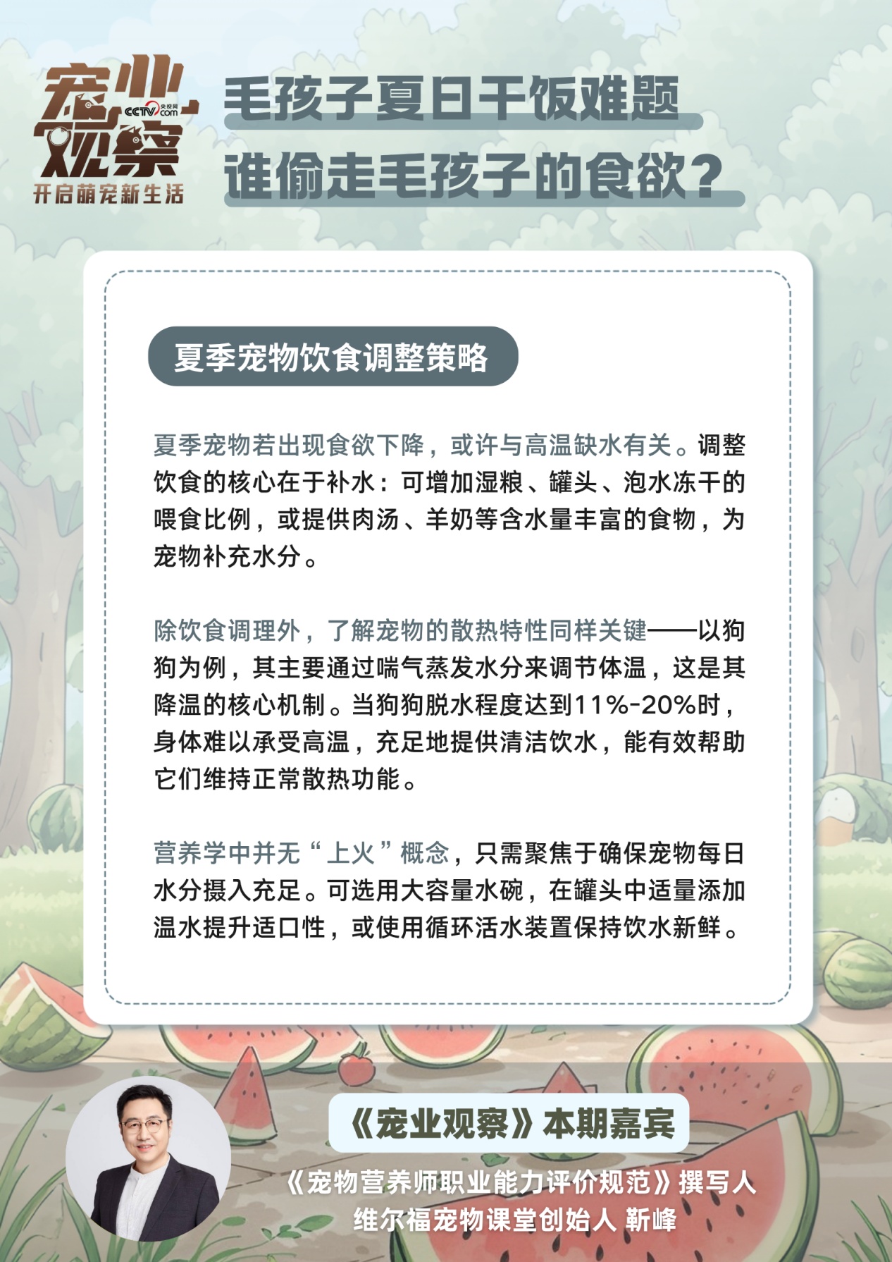 图说 | 毛孩子夏日干饭难题:是谁偷了我的食欲?答案在这里! 图说 | 毛孩子夏日干饭难题:是谁偷了我的食欲?答案在这里!
