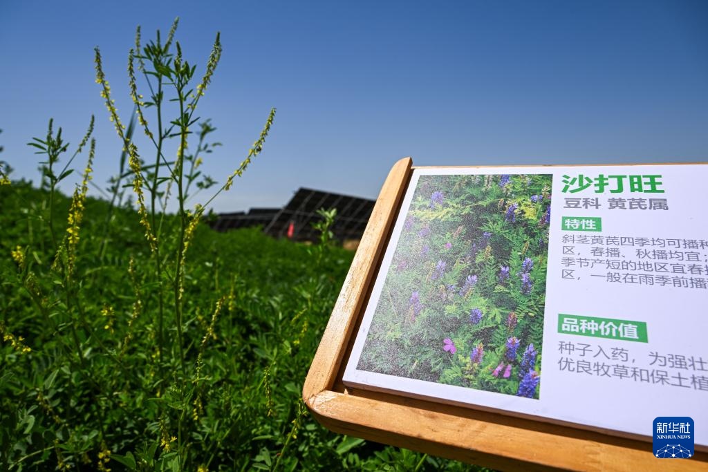 新华全媒+｜天空之眼瞰祖国——黄河“几字弯” 美丽新生态
