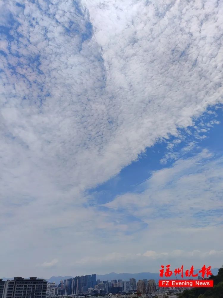 热带低压生成!福建发布暴雨预警! 热带低压生成!福建发布暴雨预警!