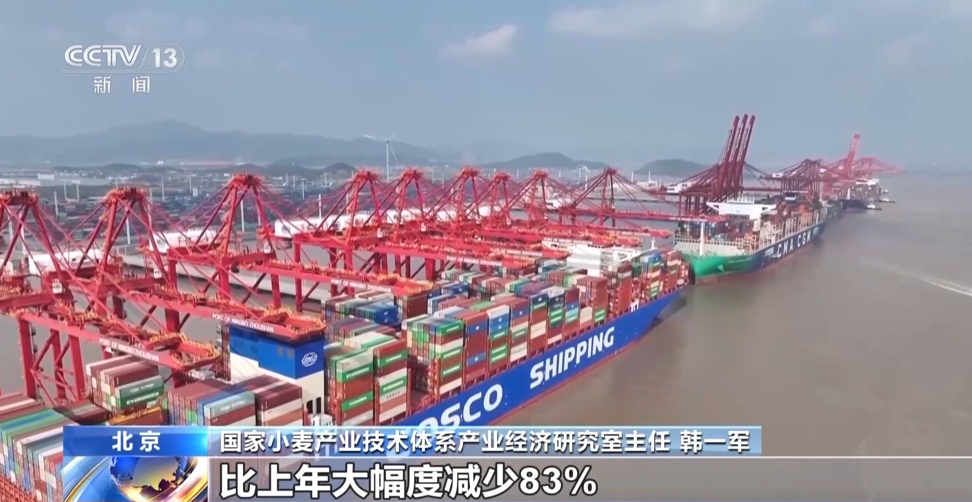 夏粮收购进行时 今年新麦有点香 价格稳中有升有保障 夏粮收购进行时 今年新麦有点香 价格稳中有升有保障