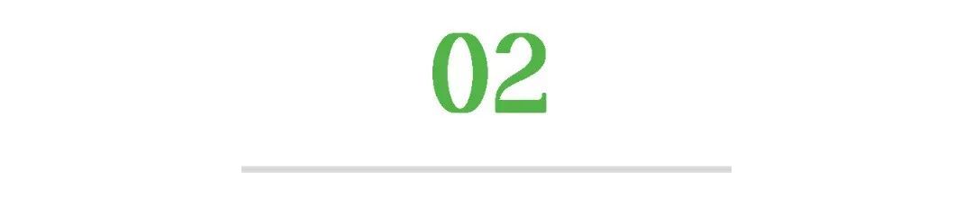 百年古樟树相继枯死！一个令人发指的真相浮出水面……