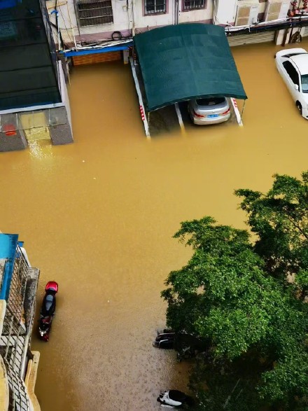 广西南宁武鸣区出现大到暴雨 广西南宁武鸣区出现大到暴雨