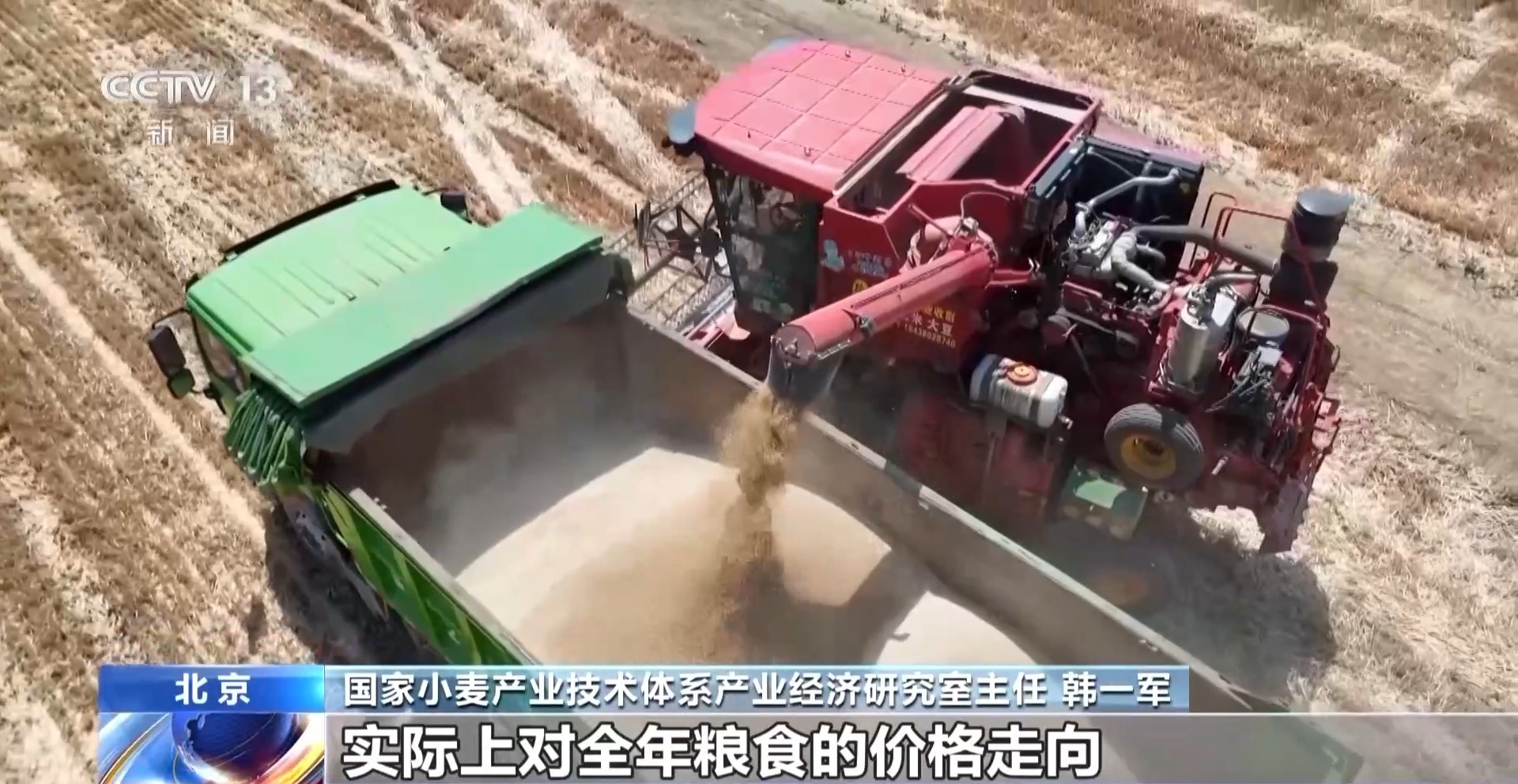 夏粮收购进行时 今年新麦有点香 价格稳中有升有保障 夏粮收购进行时 今年新麦有点香 价格稳中有升有保障