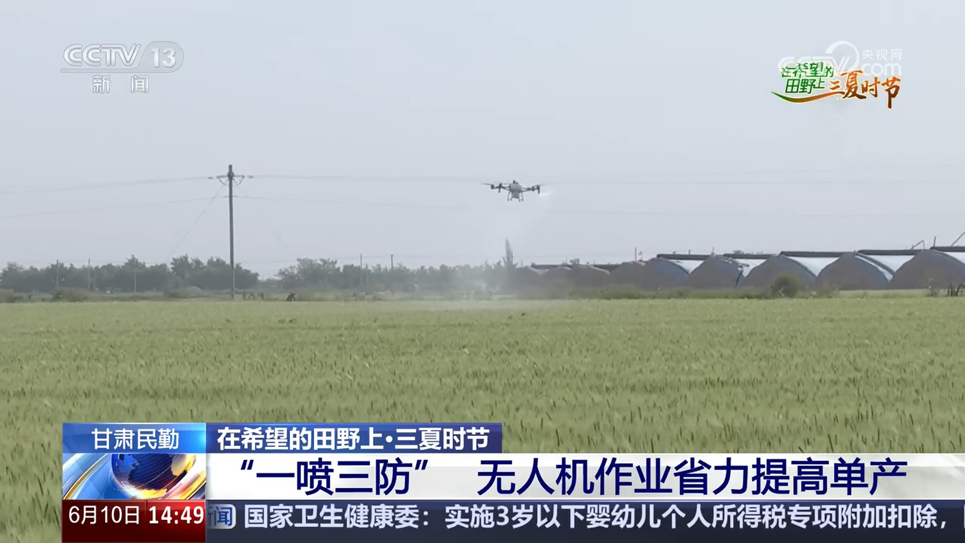 绿色生产、科技护航 夏收季田间地头粮食丰收果实飘香